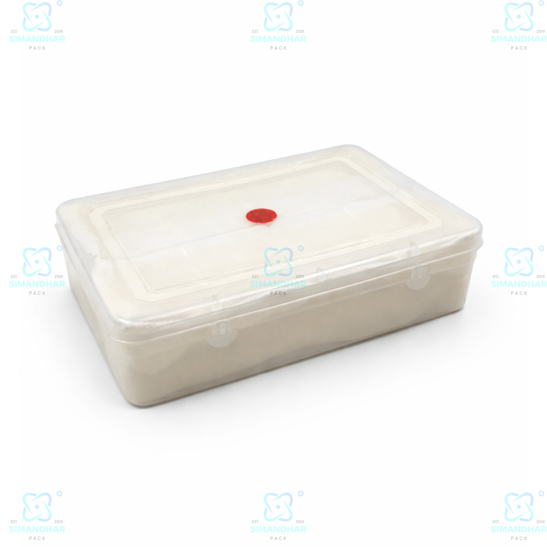 Compact Plastic Jewellery Organizer with Cushion Cotton Padding – Anti Tarnish Storage Box